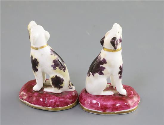 A pair of Rockingham porcelain figures of pointers, c.1830, H. 7.2cm